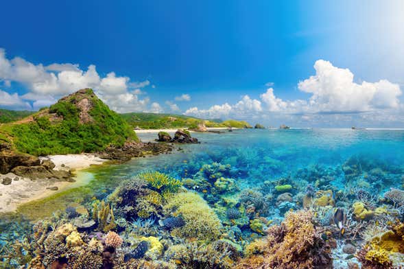Lombok Boat Trip from Bali