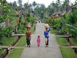 Traditional Balinese village