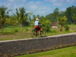 Bike ride in Bali rice fields