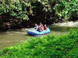 Rafting on the River Ayung