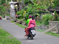 Motorbikes in Bali
