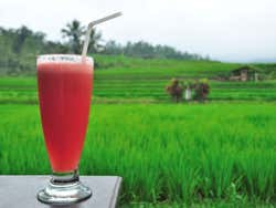 Enjoying a watermelon juice