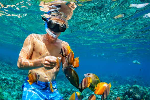 Nusa Penida & Nusa Lembongan Snorkeling