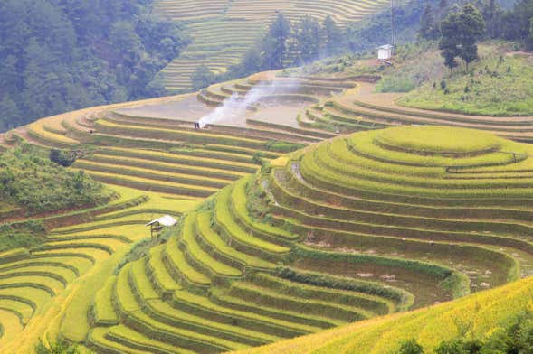 Electric Bike Tour of Bali Rice Terraces