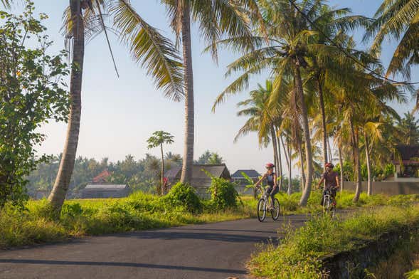 Ubud & Kintamani Bike Tour