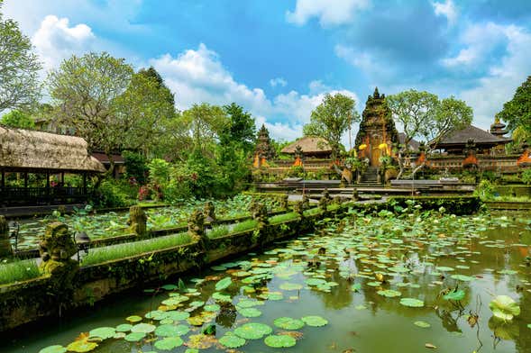Ubud Guided Tour